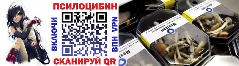 Псилоцибиновые грибы Psilocybine cubensis  Купить где  Зуевка 